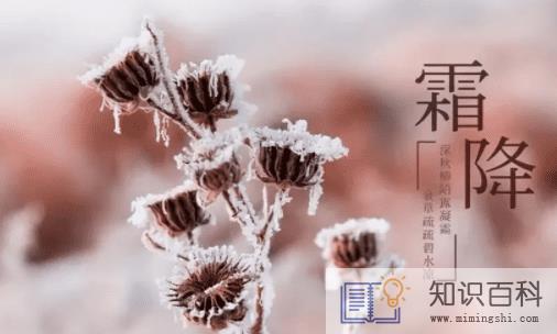 2022霜降一般的气温都是多少度到多少度1