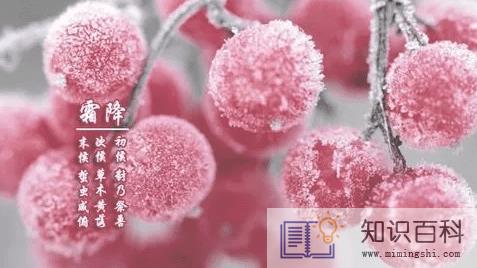 2022霜降过后穿秋裤吗1