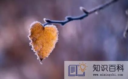2022霜降过后几点天亮1