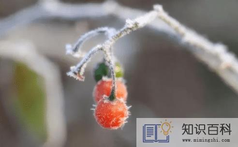 2022霜降过后几点天亮3