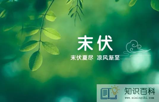 2022末伏后天气凉快了么1