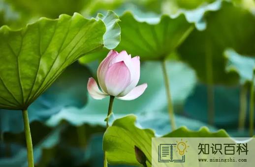 2022末伏后天气凉快了么2