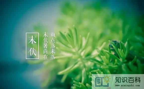 2022年末伏有几天1