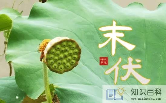 2022年末伏有几天2