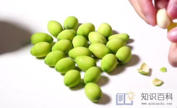 新鲜莲子可以冷冻保存吗1