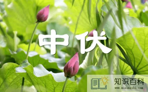2022中伏过了就凉快了吗1