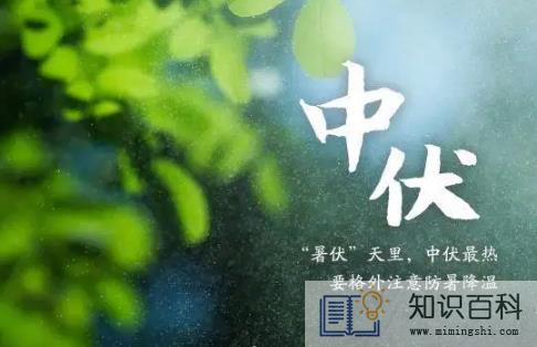 2022中伏过了就凉快了吗3