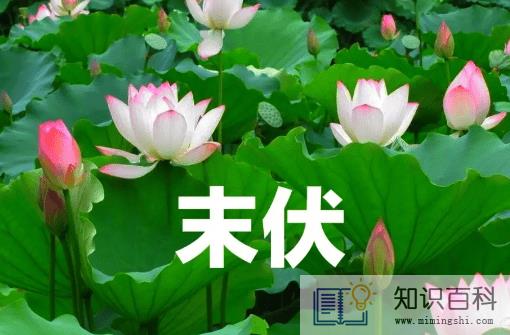 2022到了末伏天气是不是就凉爽了1