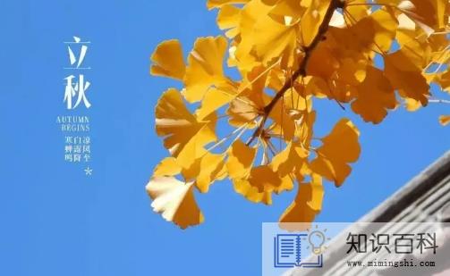 2022年立秋后多久才会凉快1