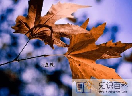 2022年立秋后多久才会凉快2