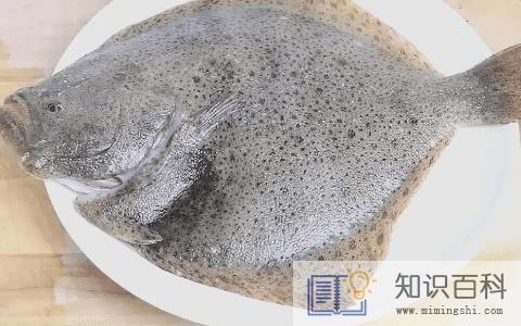 多宝鱼怎么杀能处理干净2