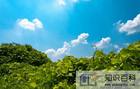 2022年9月1号开学天气还热吗3