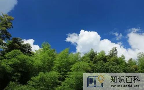 三伏天晒背的好处及作用和时间2
