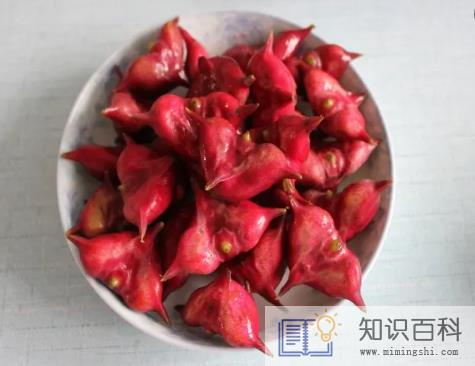 菱角煮完了发苦能吃吗3