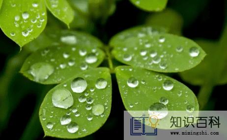 到白露气温一般在几度20221
