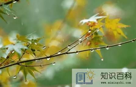 到白露气温一般在几度20222