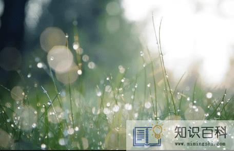 到白露气温一般在几度20223