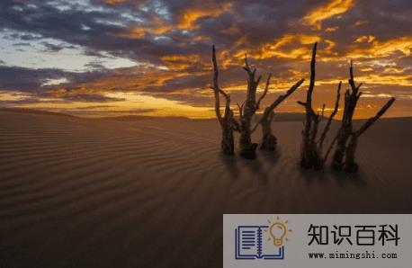 2023夏天越热冬天越冷是真的吗2