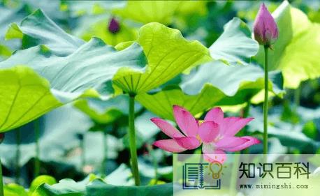 2023夏天越热冬天越冷是真的吗4