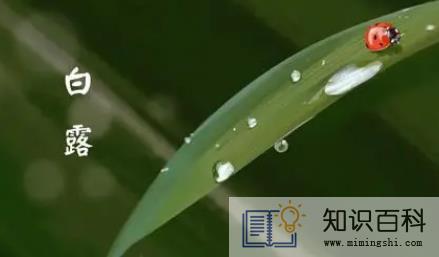 2022白露能穿短袖吗1