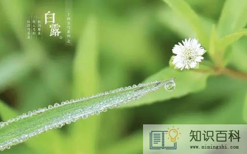2022白露能穿短袖吗3