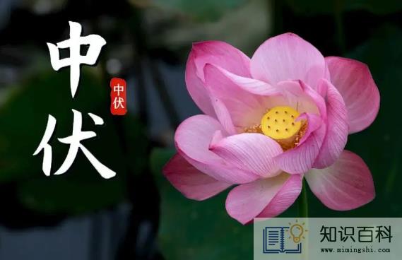 2022年二伏是几月几号哪一天1