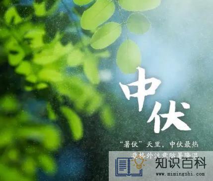 2022年二伏是几月几号哪一天3