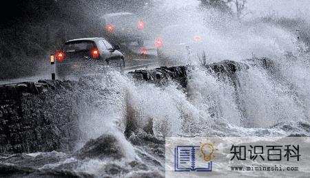 2022上海的暴雨一般在几月份1