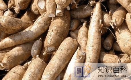 木薯怎么煮才没有毒1
