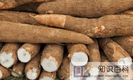 木薯怎么煮才没有毒2