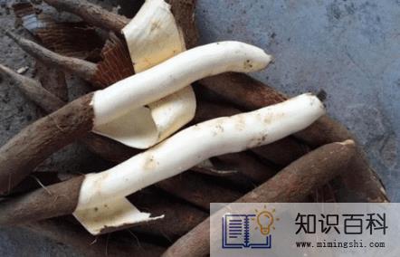 木薯怎么煮才没有毒3