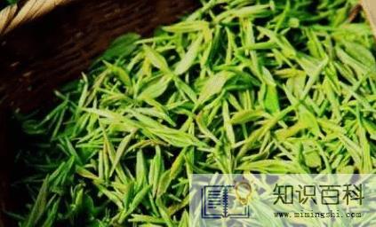 信阳毛尖茶泡出来浑浊好还是清好3