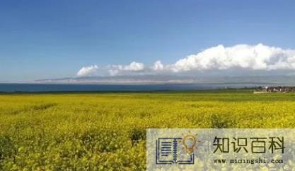 2022末伏是不是要比中伏温度低1