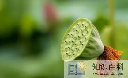2022夏天为什么这么热2