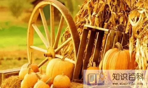 秋收是立秋还是秋分20222
