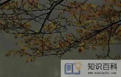 2022年7月半会下雨吗1