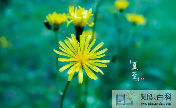 2022年夏至后几天入伏1
