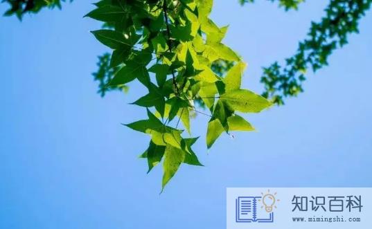 晒背是光着背还是穿个衣服好3