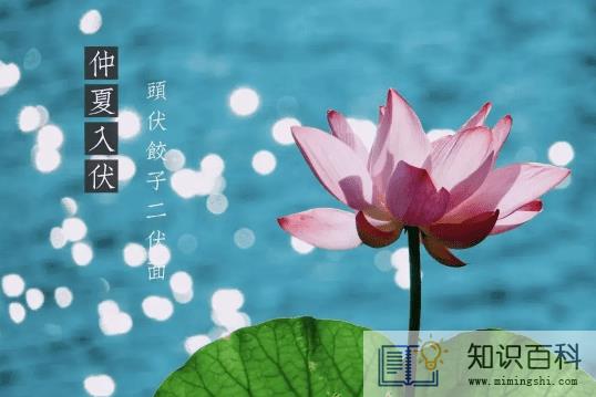 三伏天吹风扇好还是空调好1