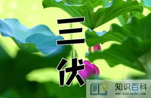 三伏天吹风扇好还是空调好3
