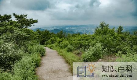 2022夏季去武汉八分山看日出几点合适1
