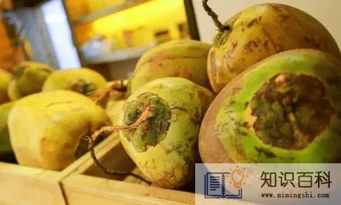 青椰子的椰子肉能吃吗 2