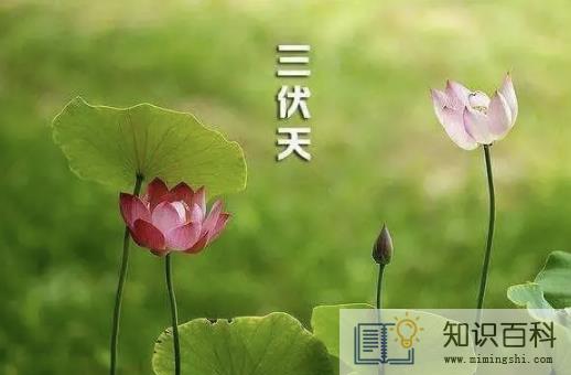 2022年三伏天的起止时间日期3