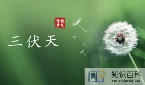 2022年三伏天几伏最热1