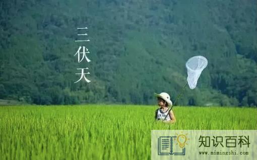 2022年三伏天几伏最热3