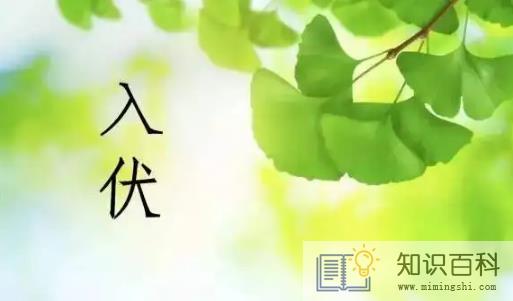 2022年入伏是上午还是下午1