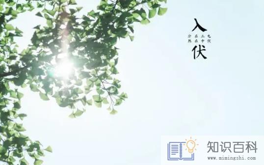 2022年入伏是上午还是下午2