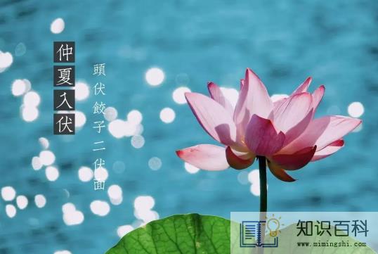 2022年入伏是上午还是下午3