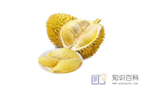 榴莲死包还有得救吗2