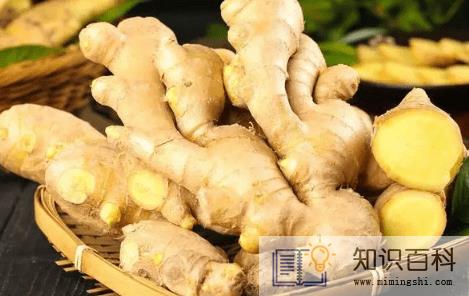 生姜有毒性吗1